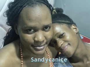 Sandycanice