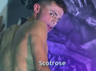 Scotrose