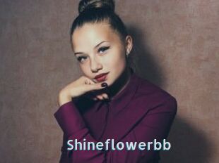 Shineflowerbb