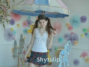 Shytulip