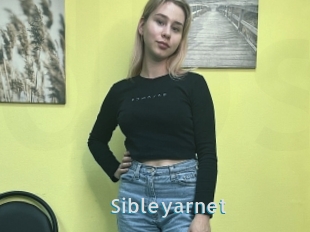 Sibleyarnet