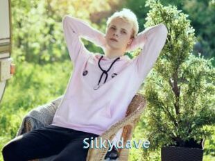 Silkydave