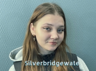 Silverbridgewate