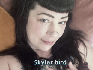 Skylar_bird