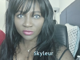 Skyleur