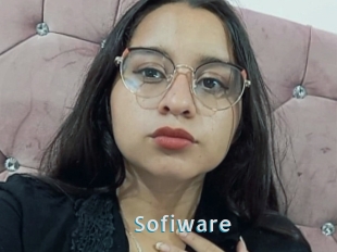 Sofiware