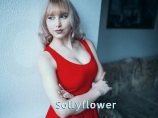 Sollyflower