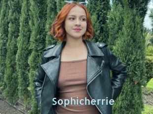 Sophicherrie