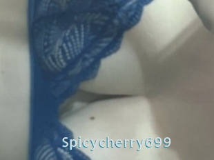 Spicycherry699