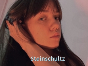 Steinschultz