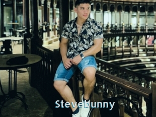 Stevebunny