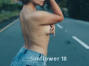 Sunflower_18