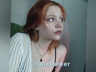 Sunxflower