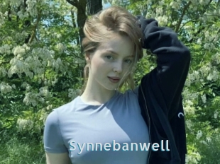 Synnebanwell