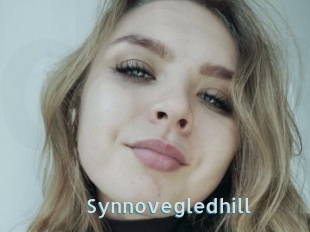 Synnovegledhill