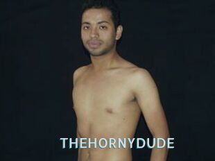 THEHORNYDUDE