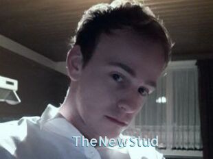 TheNewStud