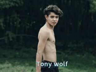 Tony_wolf