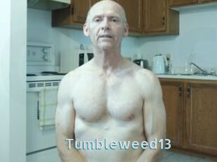 Tumbleweed13