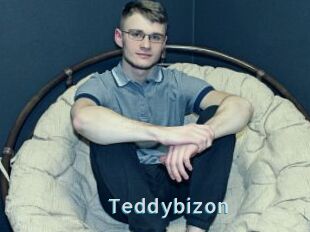 Teddybizon