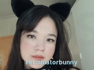 Terminatorbunny