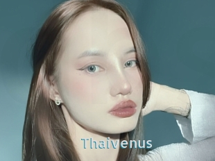 Thaivenus