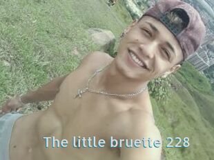 The_little_bruette_228