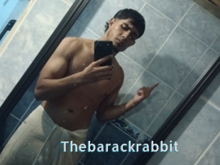 Thebarackrabbit