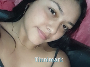 Tinnimark