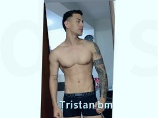 Tristan_bm