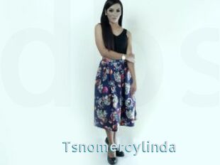 Tsnomercylinda