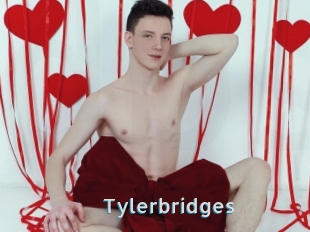 Tylerbridges