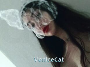 VeniceCat