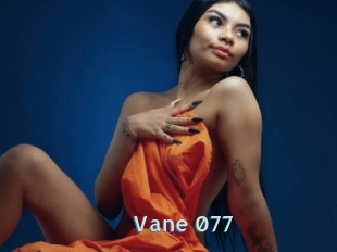 Vane_077