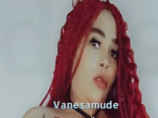 Vanesamude