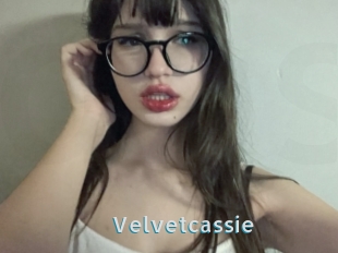 Velvetcassie