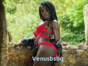 Venusbsbq