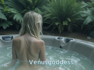 Venusgoddess