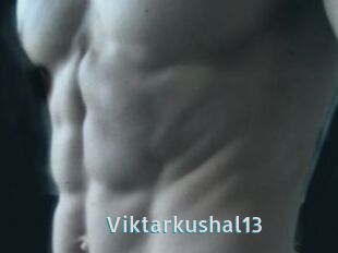 Viktarkushal13