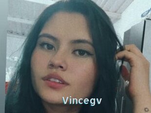 Vincegv