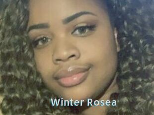 Winter_Rosea