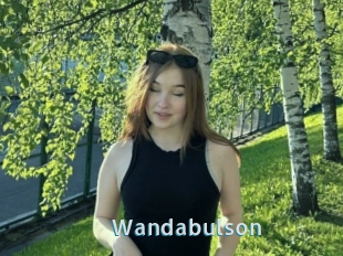 Wandabulson