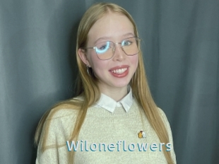 Wiloneflowers