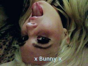 _x_Bunny_x_