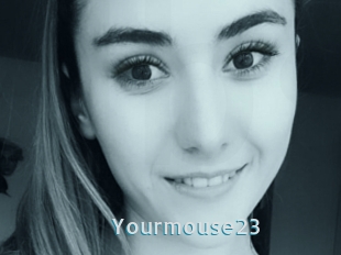 Yourmouse23