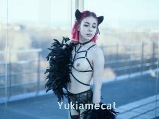 Yukiamecat