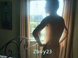 Zboy23