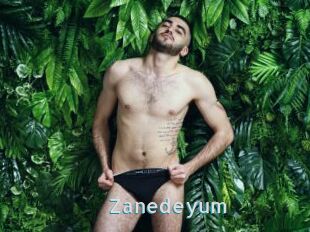 Zanedeyum